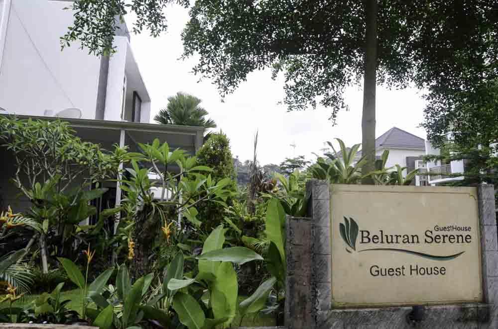 Beluran Serene Guesthouse Selemadeg Dış mekan fotoğraf