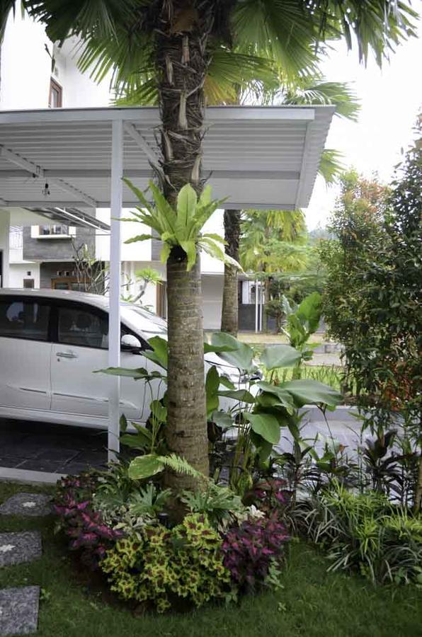Beluran Serene Guesthouse Selemadeg Dış mekan fotoğraf