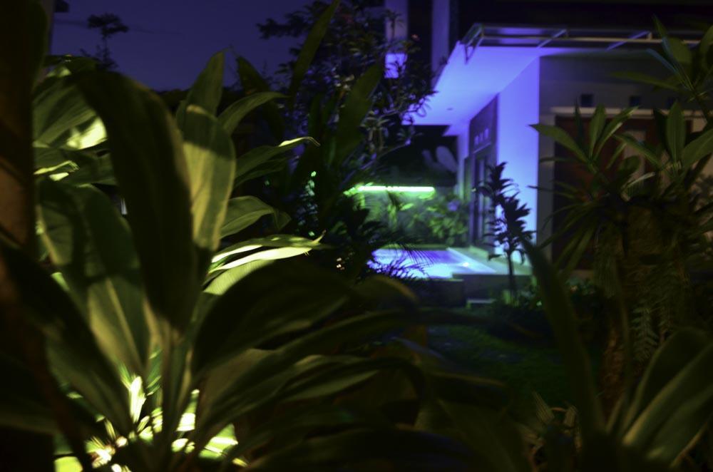 Beluran Serene Guesthouse Selemadeg Dış mekan fotoğraf