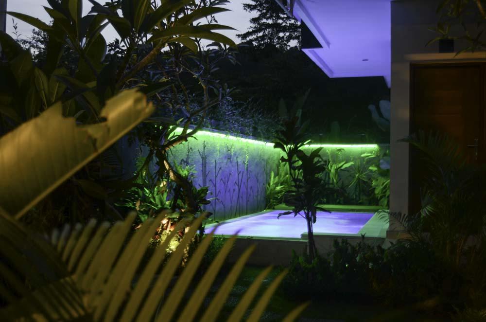 Beluran Serene Guesthouse Selemadeg Dış mekan fotoğraf