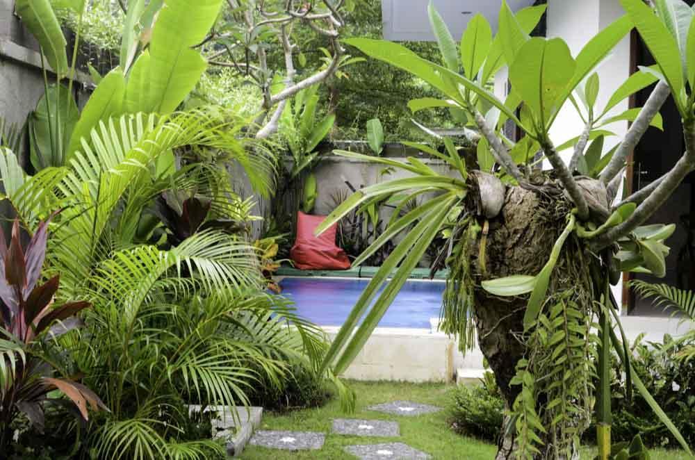 Beluran Serene Guesthouse Selemadeg Dış mekan fotoğraf