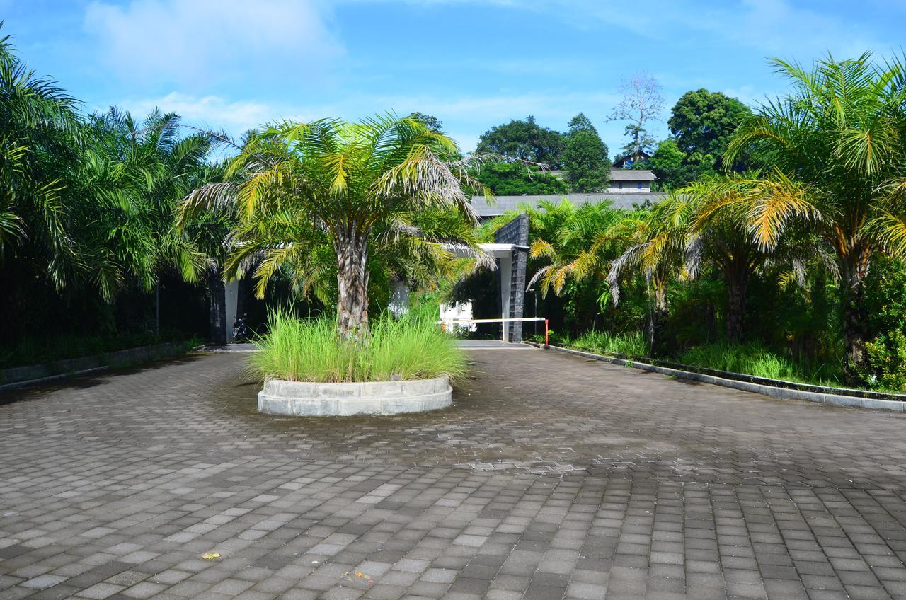 Beluran Serene Guesthouse Selemadeg Dış mekan fotoğraf